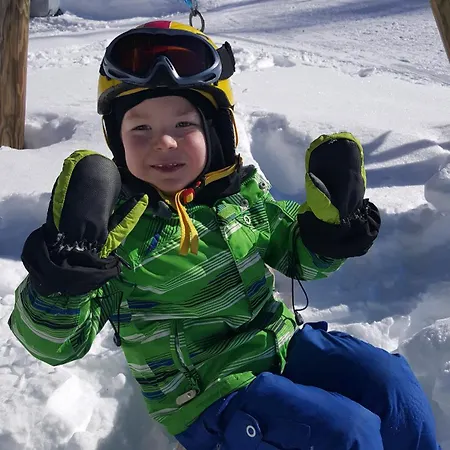 Lechnerhof Дом отдыха Mitterberg