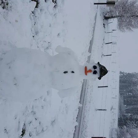 Lechnerhof Hébergement de vacances Mitterberg