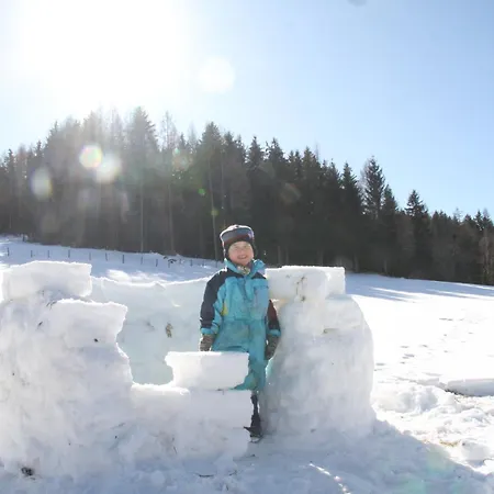 Lechnerhof * Mitterberg