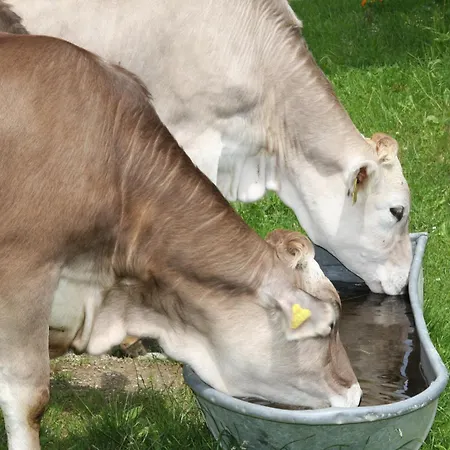 Lechnerhof Mitterberg