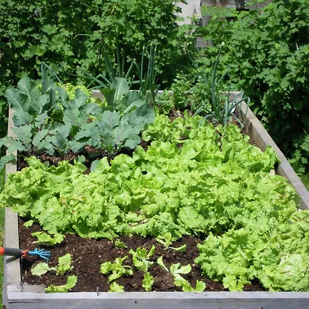 Lechnerhof Дом отдыха