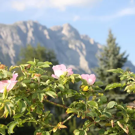 Hébergement de vacances Lechnerhof *